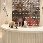 アみジョの画像