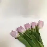 真の画像