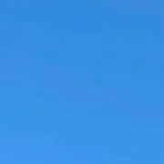 おもちの画像