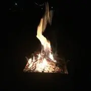 放蕩息子の画像