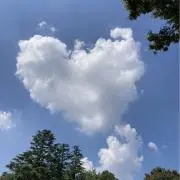 たくの画像