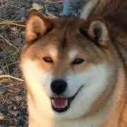 なつ