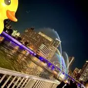 りょりょまるの画像