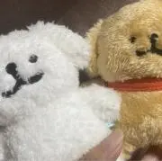 みゅうの画像