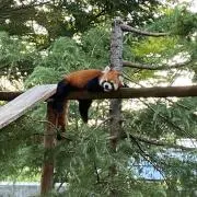 410の画像