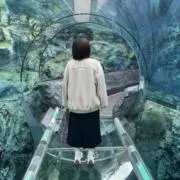 もつ