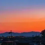 mimiの画像