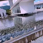 はるちゃんの画像