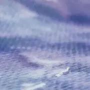 イツキの画像