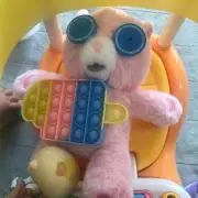 Ｎの画像