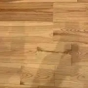 シナリの画像