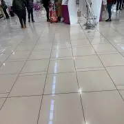 カリカリの画像