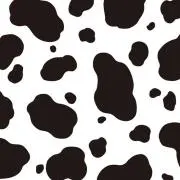 koooの画像
