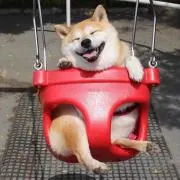 BBRの画像