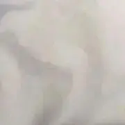 ぽてとの画像