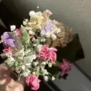 はるなの画像