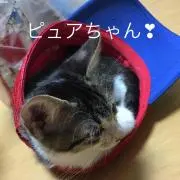 色々断捨離中の画像