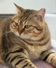 ZaZooGaZooの画像