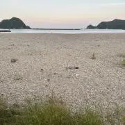 タモじい