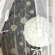 くぅくぅの画像