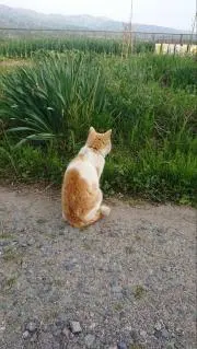 miya3の画像