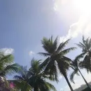✴︎ririの画像