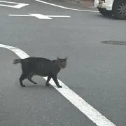 リア☆ID記録❌無言⭕️の画像