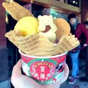hoihoiの画像