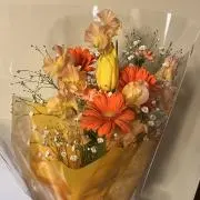19の画像