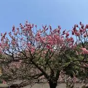 まさひろの画像