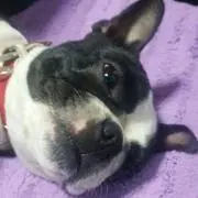まるぽー