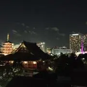 ワカの画像
