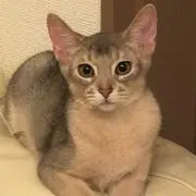 ☆★KUMI★☆の画像