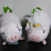 ぴゃんの画像