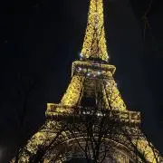 ゆずのバブの画像