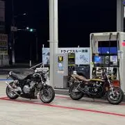 ふぇーの画像