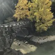 にくきゅう