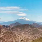 ぴたの画像