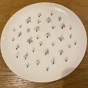 Momoの画像