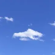 ぺらの画像