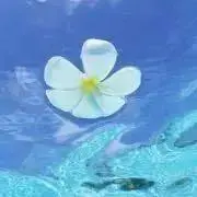 ゆらら⭐︎の画像
