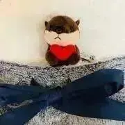 ぽむ【即購入OK!!】の画像