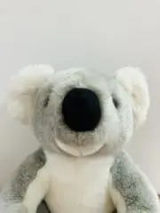 29の画像