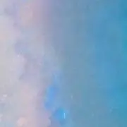 さくらの画像