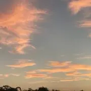涼(休止中)