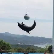 まとめ売りの画像