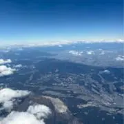 もちの画像