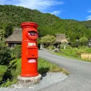 RN1111の画像