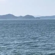 Ryotaの画像