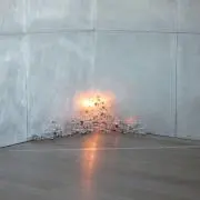 im